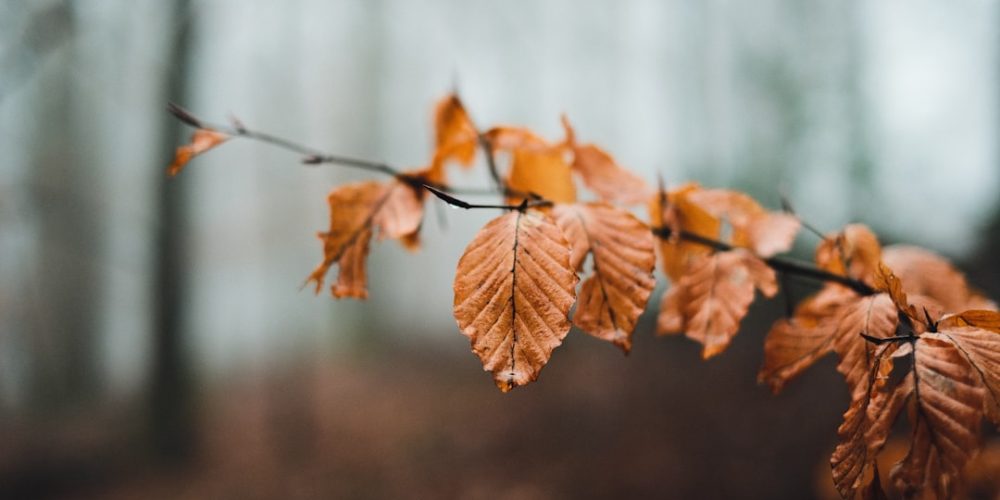 Gebeld door +31 20 213 46 11: Wie zit er achter dit nummer?