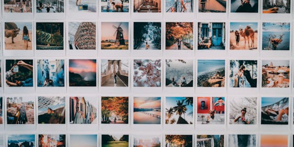 pexels-taryn-elliott-4340918