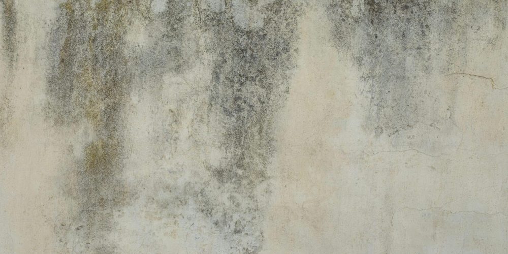 schimmel op hout en muren verwijderen